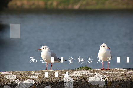 死亡賠償金能否用于償還信用卡債務(wù)？